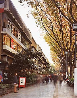 Color photo-21